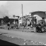 תמונה 1 - סוחרים ערבים עם גמל על רחוב ויצמן