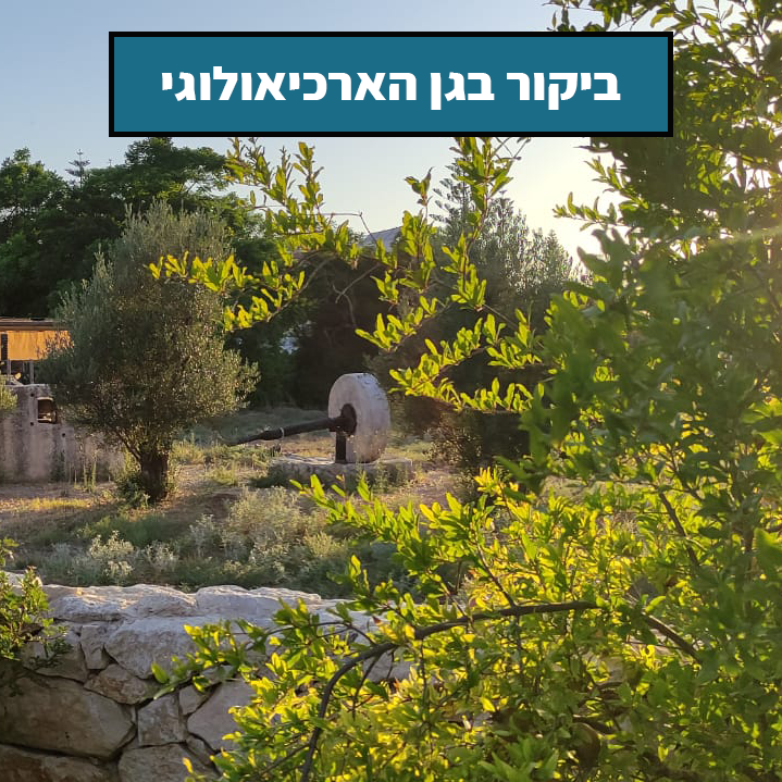 הגן האריכאולוגי פתוח לביקור
