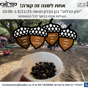 זמן הבלוט 8/11/25 בגן מנשה כפר סבא