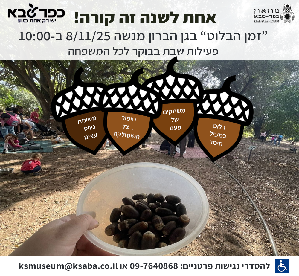 זמן הבלוט 8/11/25 בגן מנשה כפר סבא