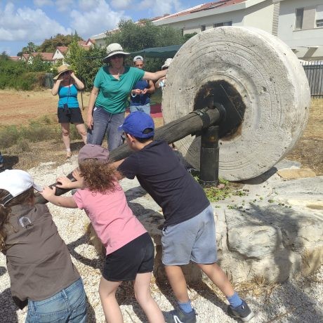 מתנסים בפריכת זיתים בבית הבד