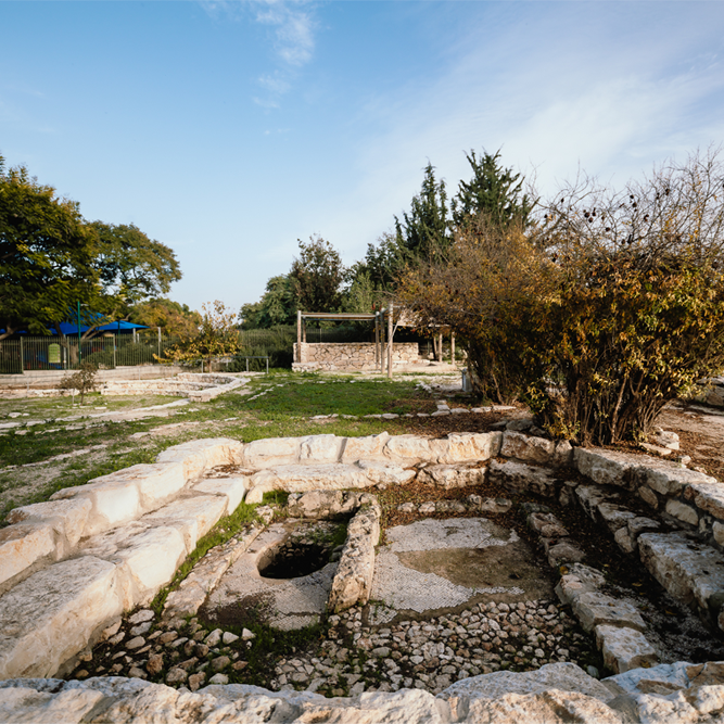 גת יין צילום אסף אנגל
