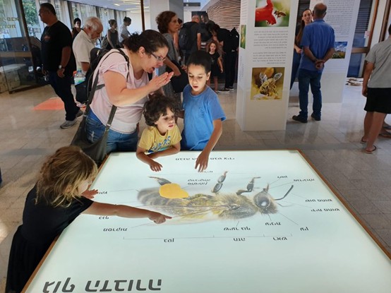 תערוכת "עפים לכל הכיוונים - הדבורה מאז ועד היום" הוצגה באולם התערוכות המתחלפות של מוזאון כפר סבא בשנים 2019-2021.