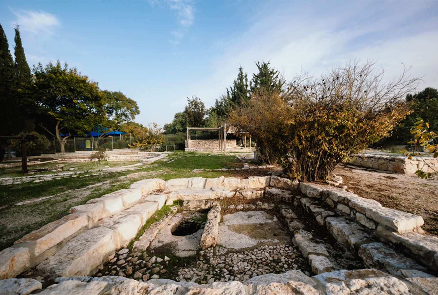 גת היין בגן הארכיאולוגי מוזאון כפר סבא צילום אסף אנגל
