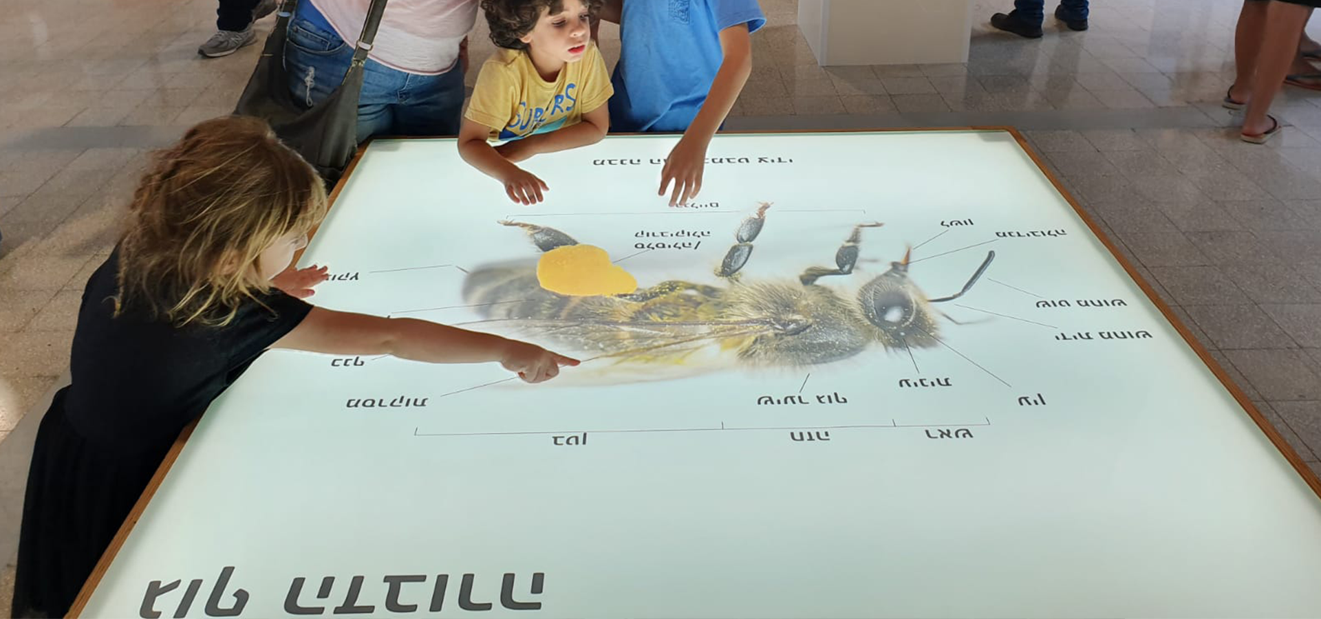 עפים לכל הכיוונים
