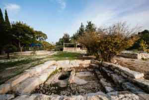 ביקור בוקר בגן הארכיאולוגי