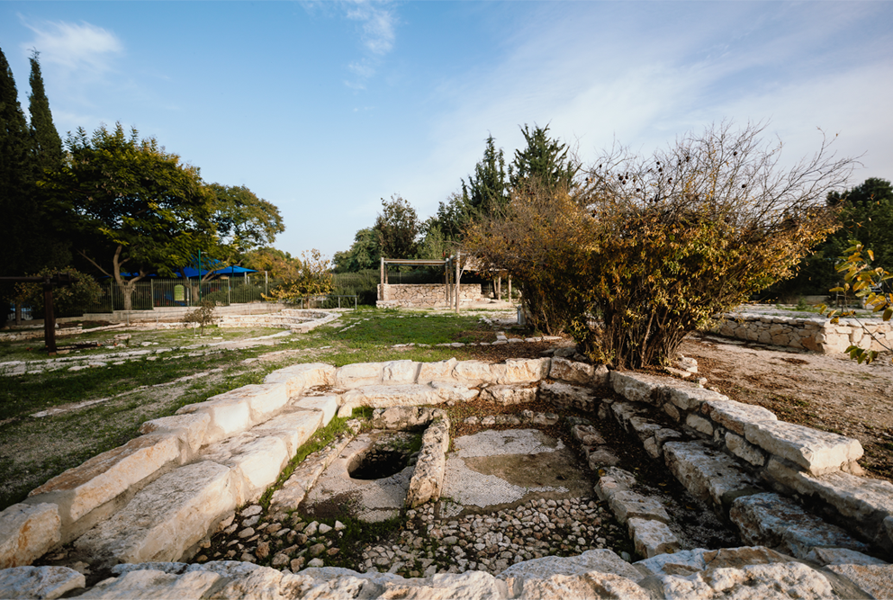 ביקור בוקר בגן הארכיאולוגי