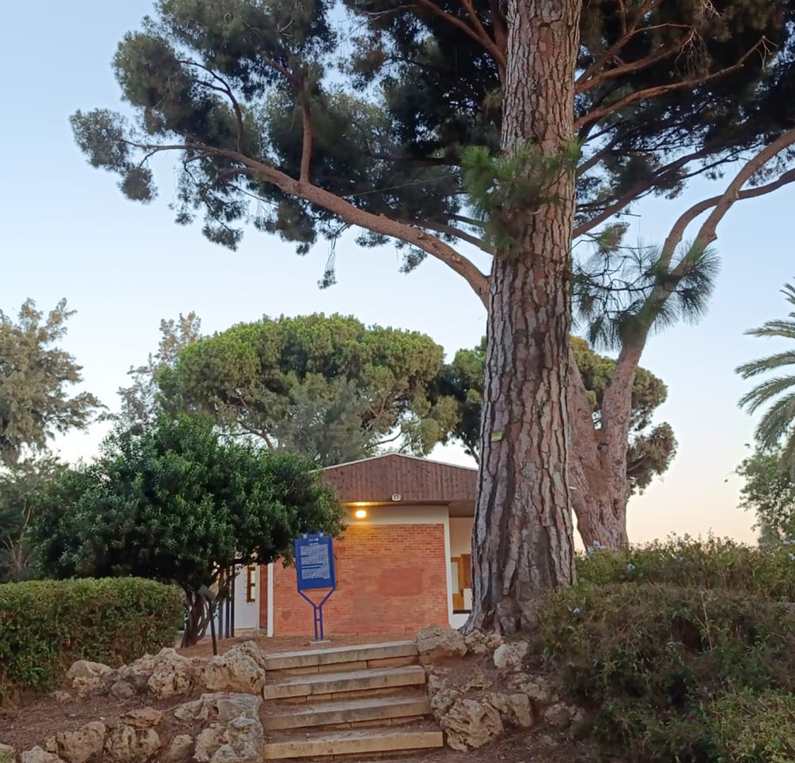 ביקור באתרי המוזאון